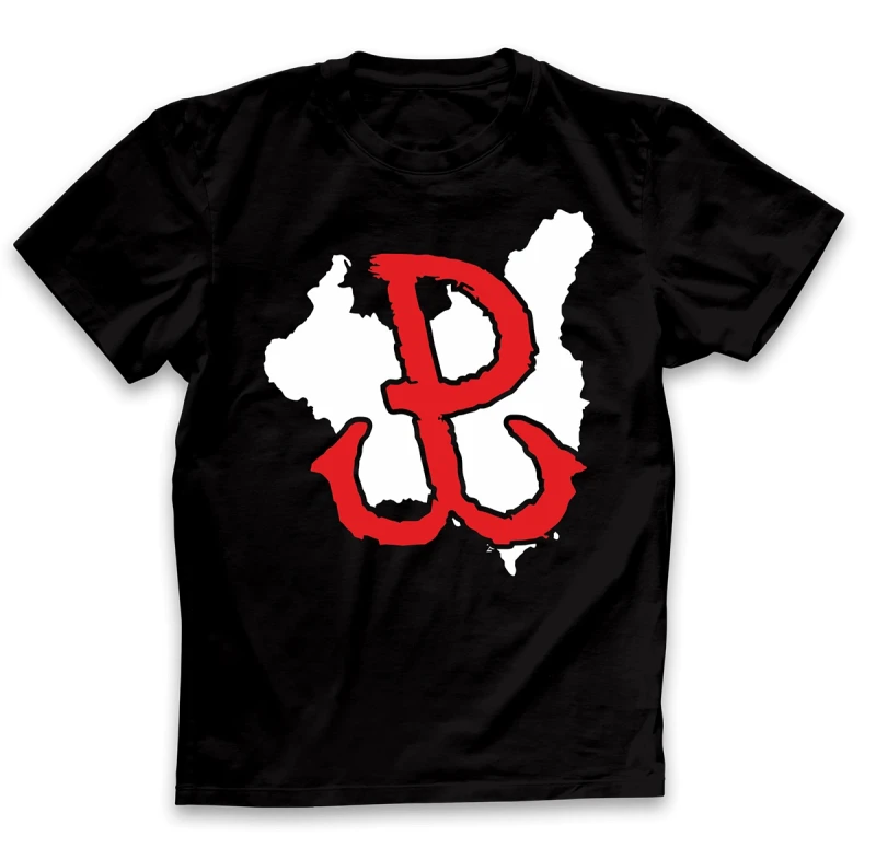 koszulka męska pw czarna.webp