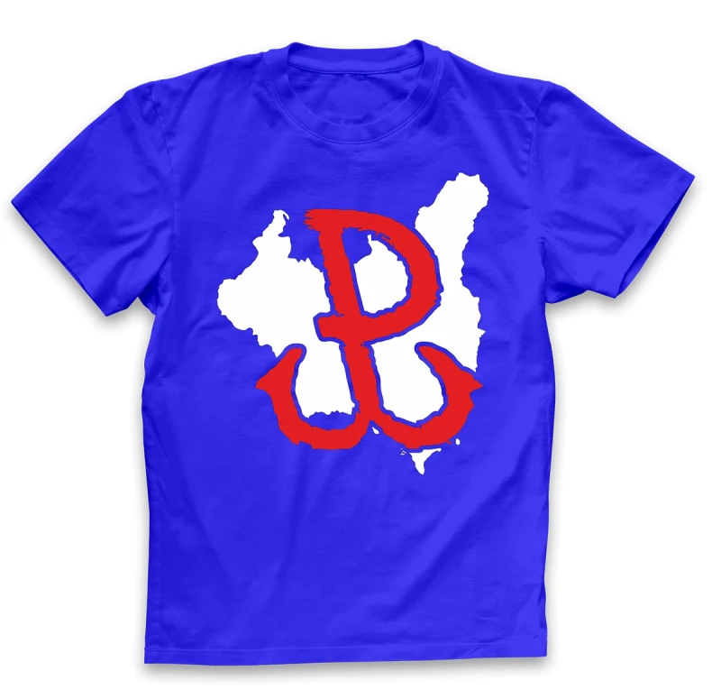 koszulka męska pw niebieska.webp